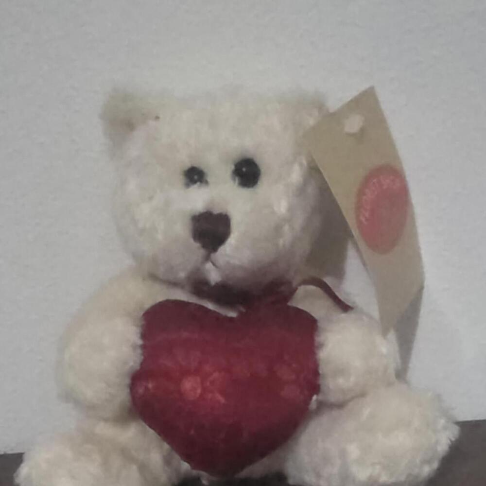 White teddy bear holding a red heart #valentines #cute